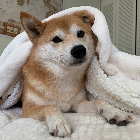 Meet your Posher, Ruth - Picture 5 of 5